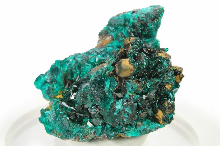 Lustrous Dioptase Crystal Cluster - Republic of the Congo #272930